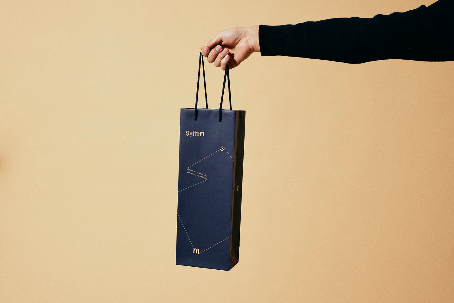 専用のブランドショッパー手提げ袋