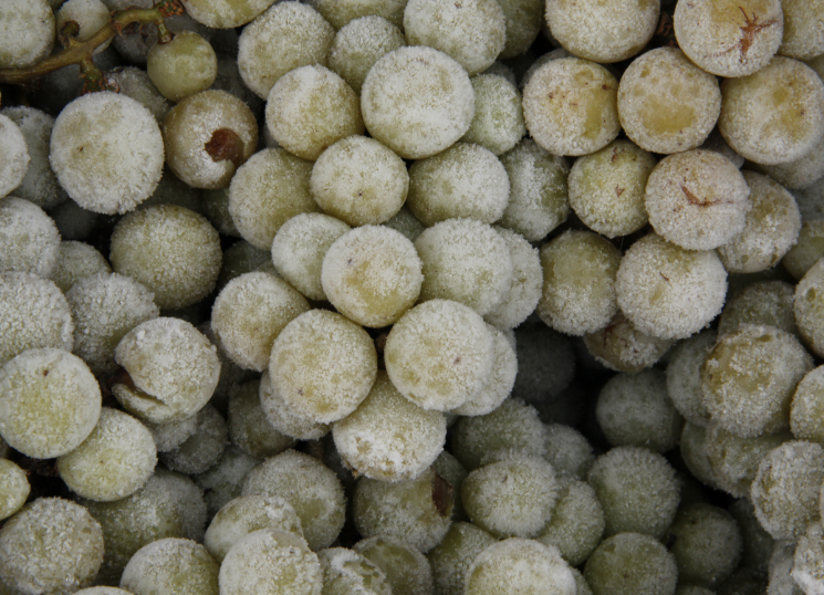 【飲み比べ】Symn-シン- 白 Bold&Low2本セット