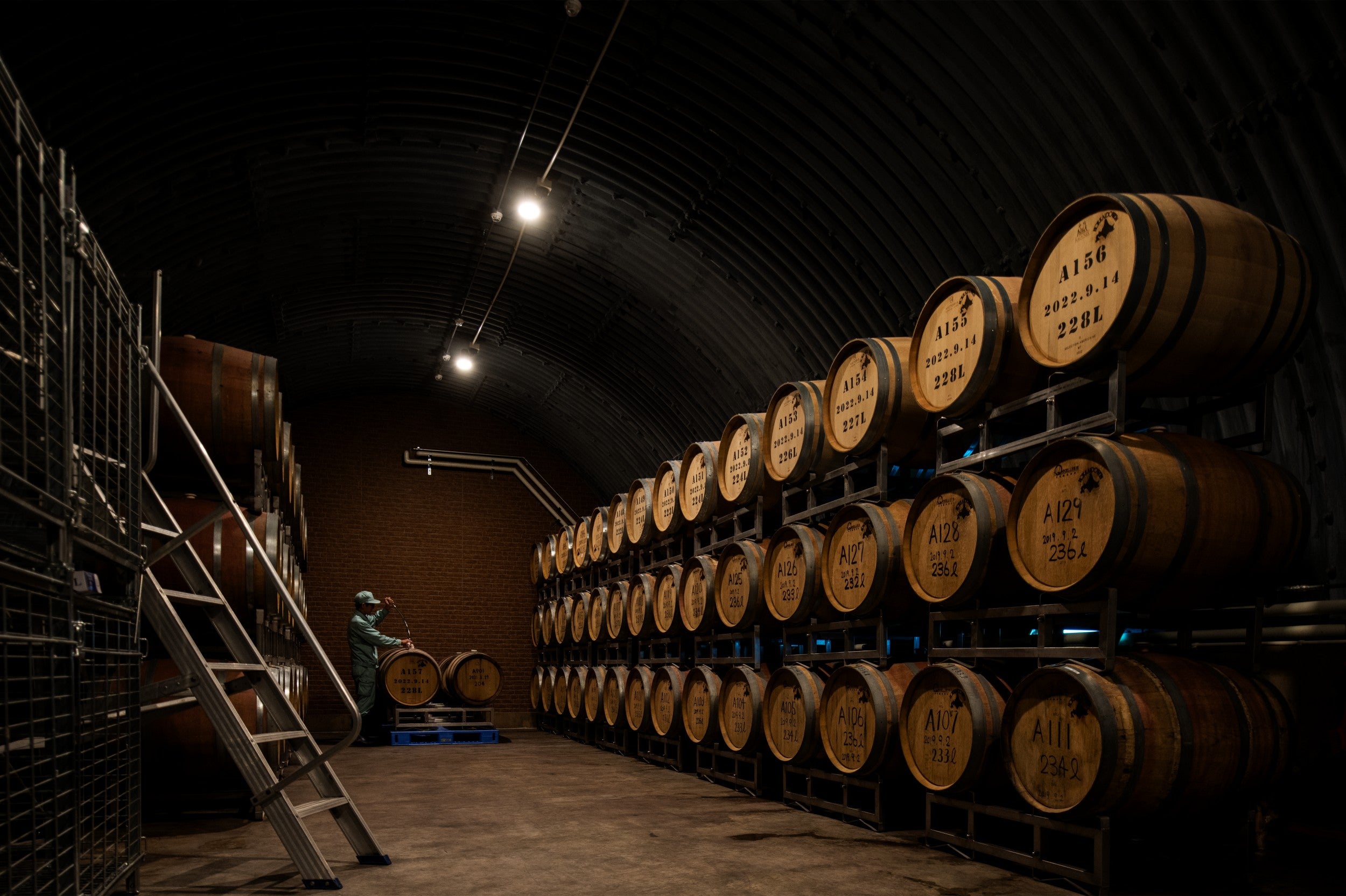 【8% Low】Symn-シン- 白 Type Low 500ml 生ワイン