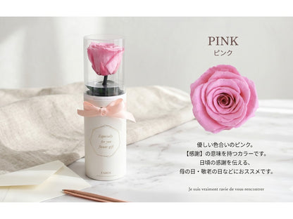 母の日_ECサイト用画像 (13).jpg__PID:9284f601-d6ff-4f46-bdd6-86c1ceab3020