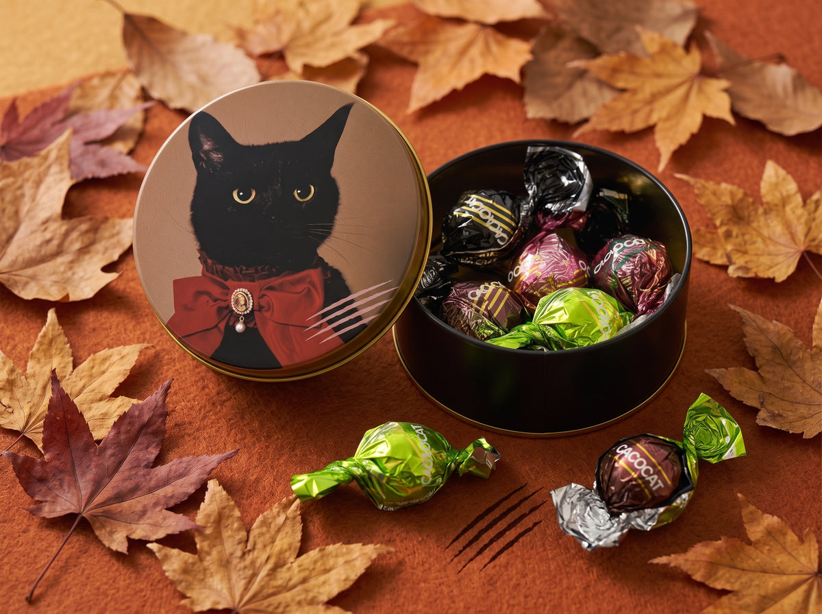 【Autumn Collection 限定】<飲み比べ＞贅沢ハロウィンセット　Symn 飲み比べ500ml×計2本 + CACAOCATミックスチョコレート缶（5個入り ） + キャンドルライト1個付＜送料無料＞